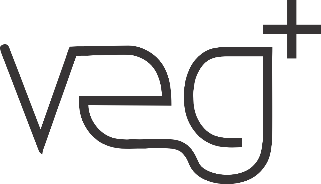 Logotipo de Grupo VEG